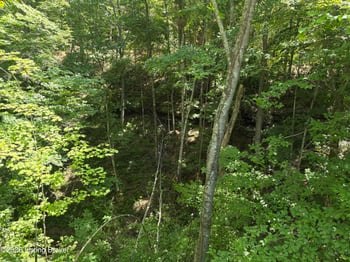 643 Pine Grove Rd, Beattyville, KY 41311