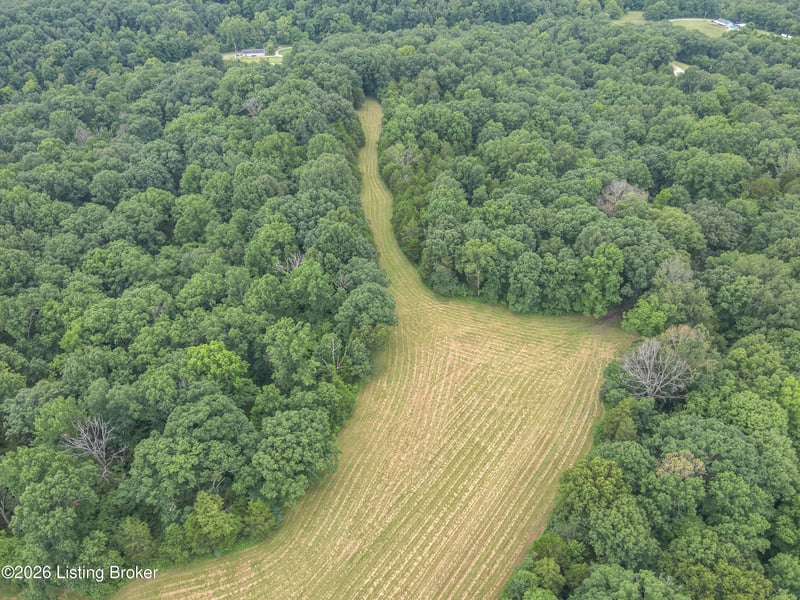 654 Gest Rd, Pleasureville, KY 40057