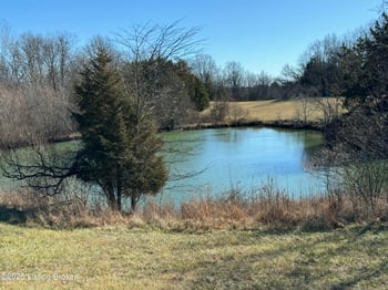 6692 Hempridge Rd, Shelbyville, KY 40065