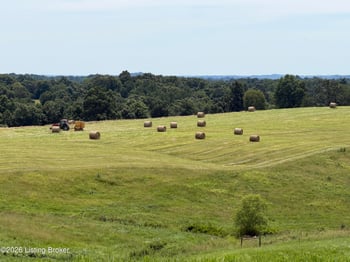 673 Doctor Cheal Rd, Leitchfield, KY 42754
