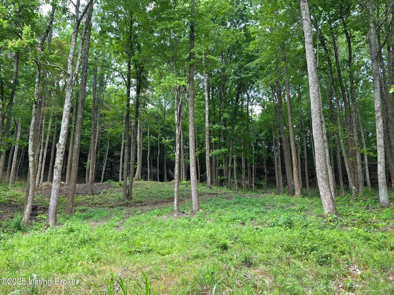 7 Cave Creek Rd, Falls Of Rough, KY 40119