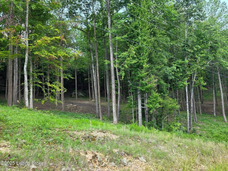 7 Cave Creek Rd, Falls Of Rough, KY 40119