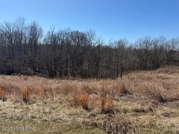 7 Landings Ct, Willisburg, KY 40078
