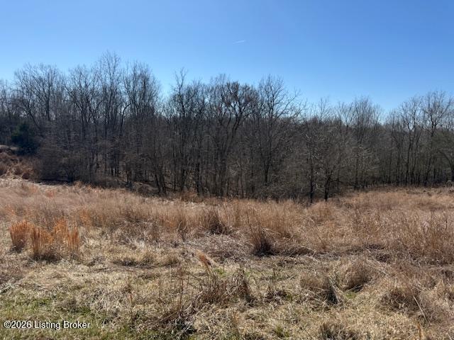 7 Landings Ct, Willisburg, KY 40078