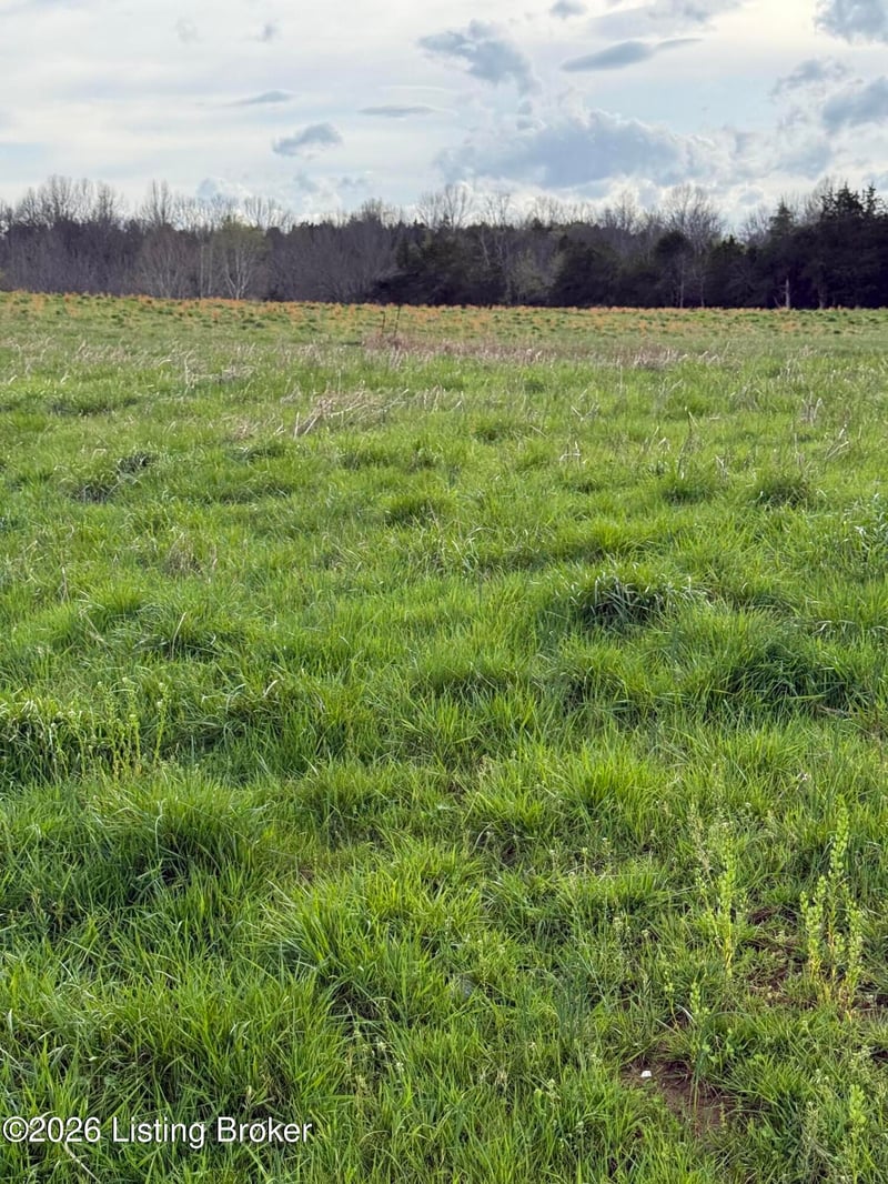 7 s Chowning Ln, Bloomfield, KY 40008