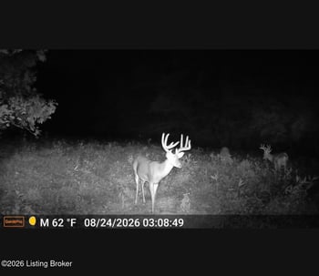 71 3 Lick Creek Rd, Mackville, KY 40040