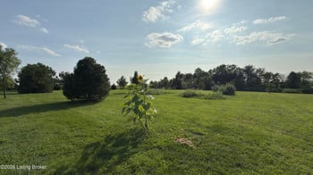 740 Banta Ln, Pleasureville, KY 40057