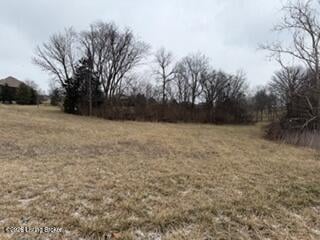 75 Kingsmill Dr, Fisherville, KY 40023