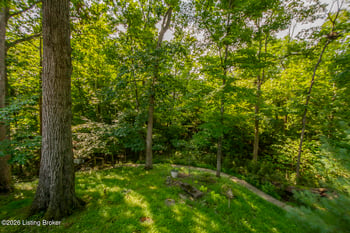 7804 Deep Trail Ct, Prospect, KY 40059
