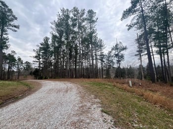 8 Marina Point Ln, Falls Of Rough, KY 40119