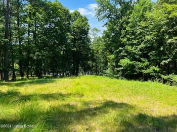 8 Marina Point Ln, Falls Of Rough, KY 40119