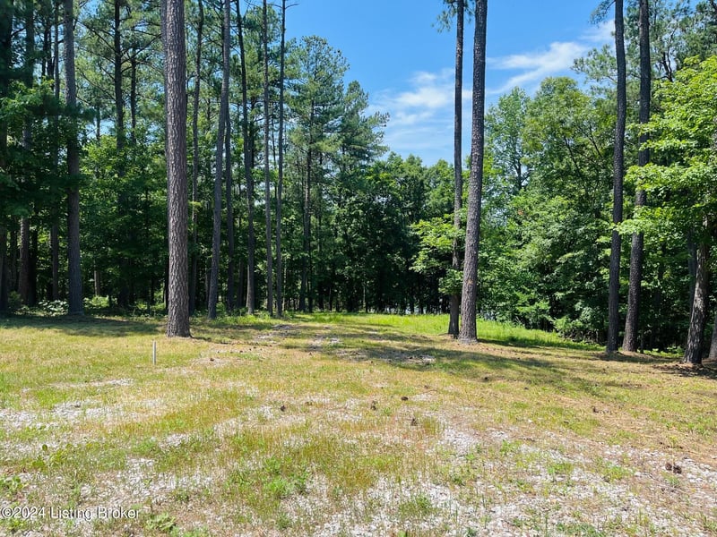 8 Marina Point Ln, Falls Of Rough, KY 40119