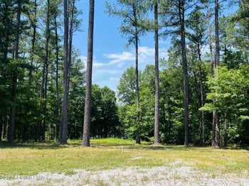 8 Marina Point Ln, Falls Of Rough, KY 40119