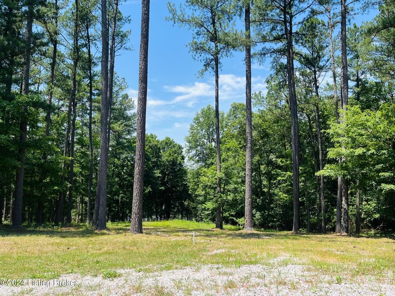 8 Marina Point Ln, Falls Of Rough, KY 40119