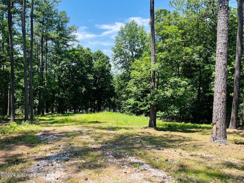 8 Marina Point Ln, Falls Of Rough, KY 40119