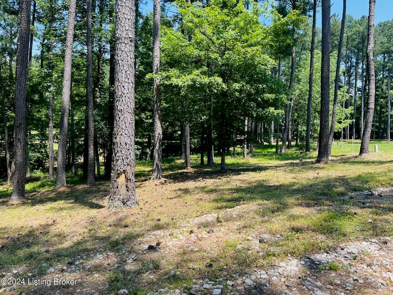 8 Marina Point Ln, Falls Of Rough, KY 40119