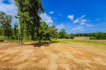 80 Valerie Ct, Brandenburg, KY 40108