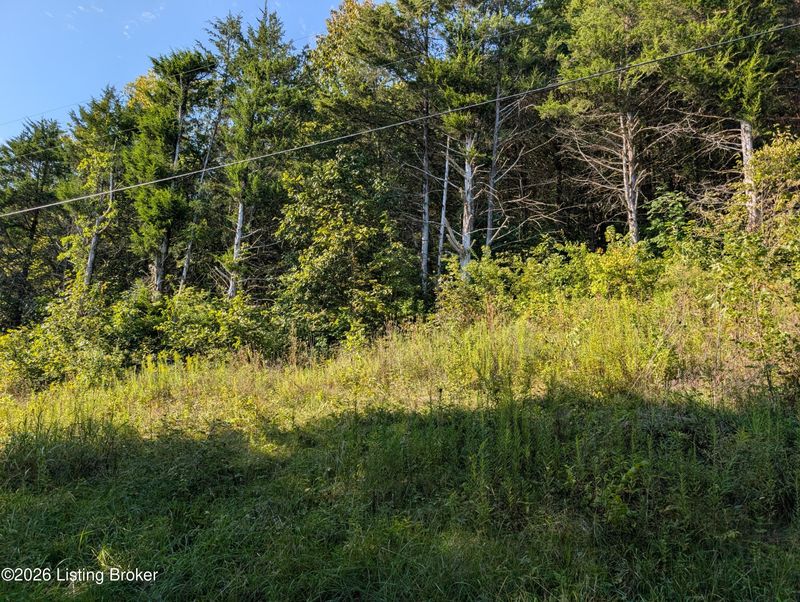 8000 E Upper Dry Fork Rd, Madison, IN 47250