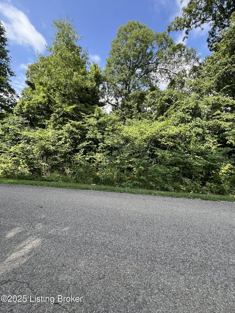 802 Stone Hill Rd, Mammoth Cave, KY 42259