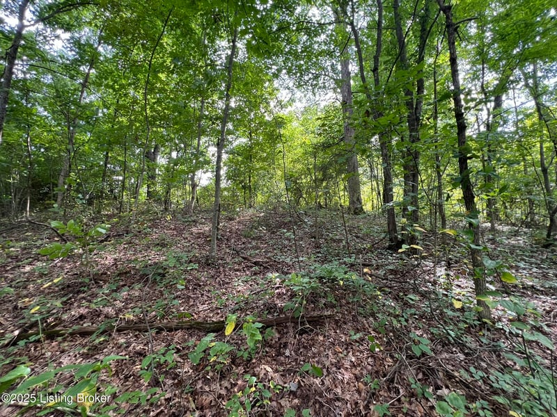 802 Stone Hill Rd, Mammoth Cave, KY 42259