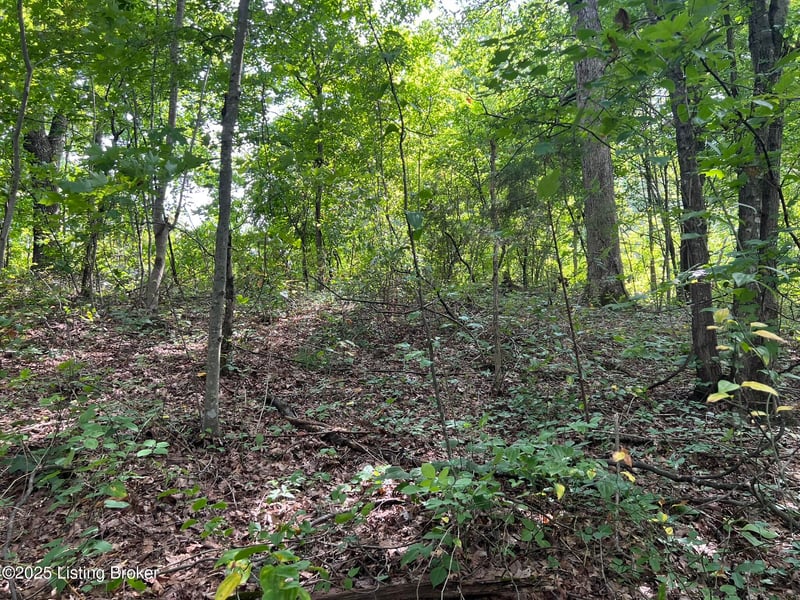 802 Stone Hill Rd, Mammoth Cave, KY 42259