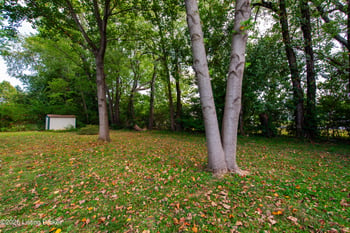 8310 Easton Ln, Louisville, KY 40242