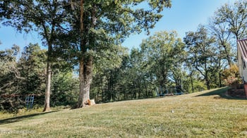 838 Copelin Rd, White Mills, KY 42788