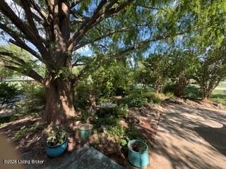 8515 Image Way, Jeffersontown, KY 40299