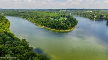860 Spring Shores Ln, Falls Of Rough, KY 40119