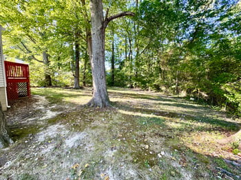 8600 Montrie Ct, Louisville, KY 40219