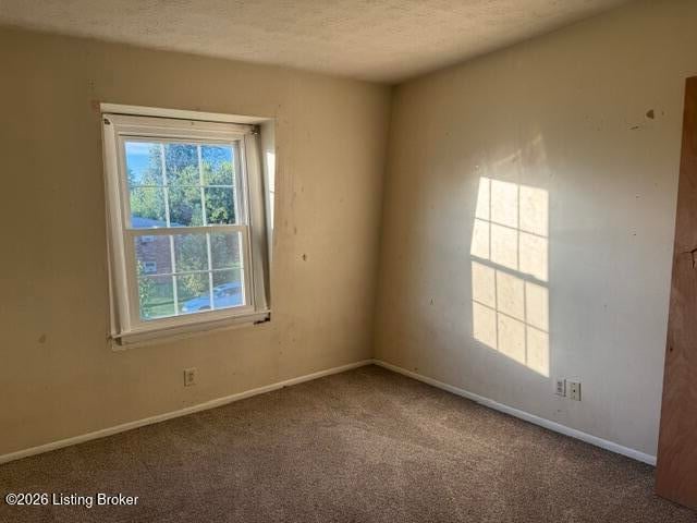 8714 Bayberry Pl #APT 12, Louisville, KY 40242