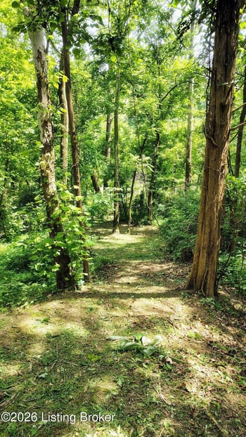 873 Pine Haven Rd, Clarkson, KY 42726