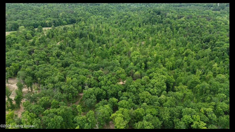 89 AC Cub Run Rd, Cub Run, KY 42729