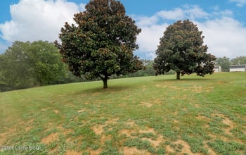 92 Venetia Dr, Willisburg, KY 40078