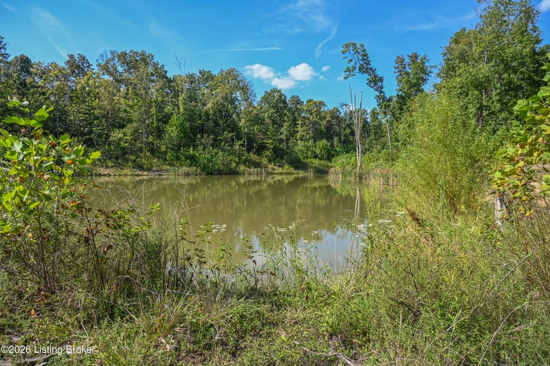 9211 Ky 555, Willisburg, KY 40078