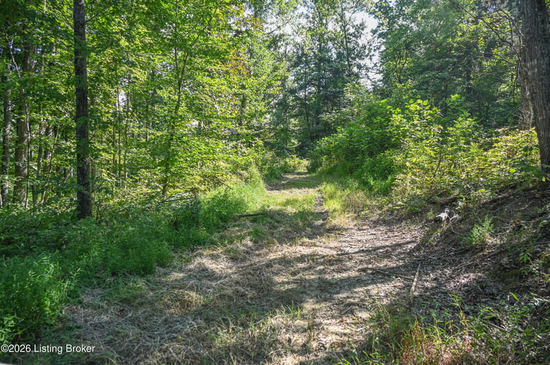9211 Ky 555, Willisburg, KY 40078