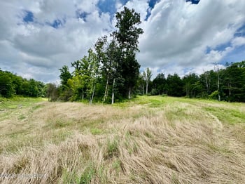9501-5B Hwy 555, Willisburg, KY 40078