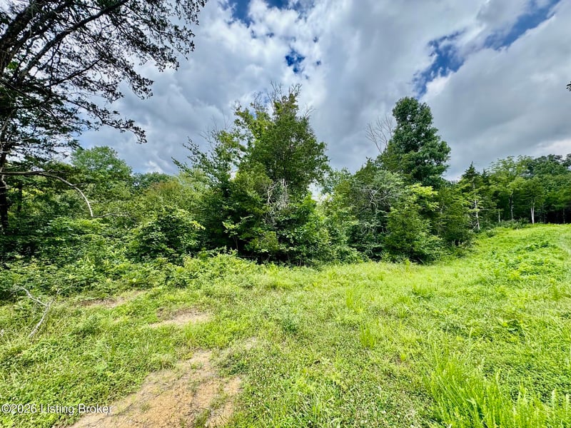 9501-5B Hwy 555, Willisburg, KY 40078
