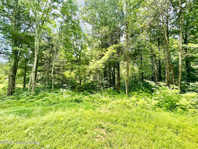 9501-5B Hwy 555, Willisburg, KY 40078
