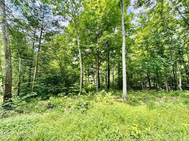 9501-5B Hwy 555, Willisburg, KY 40078