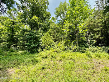 9501-5C Hwy 555, Willisburg, KY 40078