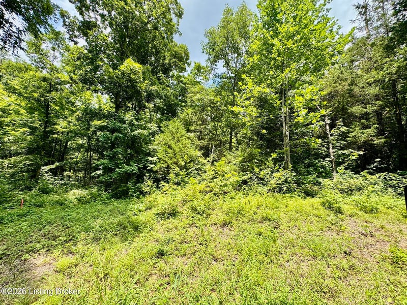 9501-5C Hwy 555, Willisburg, KY 40078