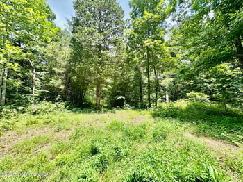 9501-5C Hwy 555, Willisburg, KY 40078