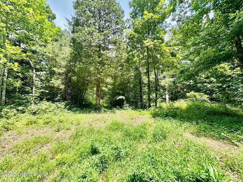 9501-5C Hwy 555, Willisburg, KY 40078