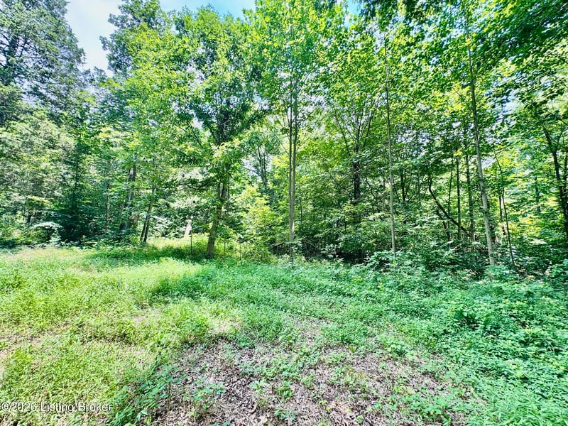 9501-5C Hwy 555, Willisburg, KY 40078