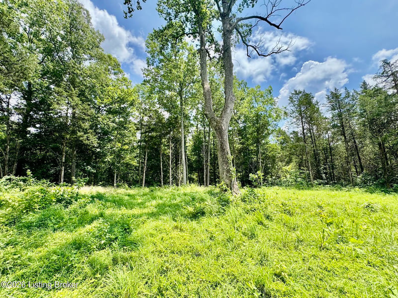 9501-5D Hwy 555, Willisburg, KY 40078