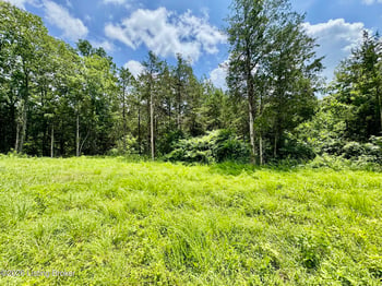9501-5D Hwy 555, Willisburg, KY 40078