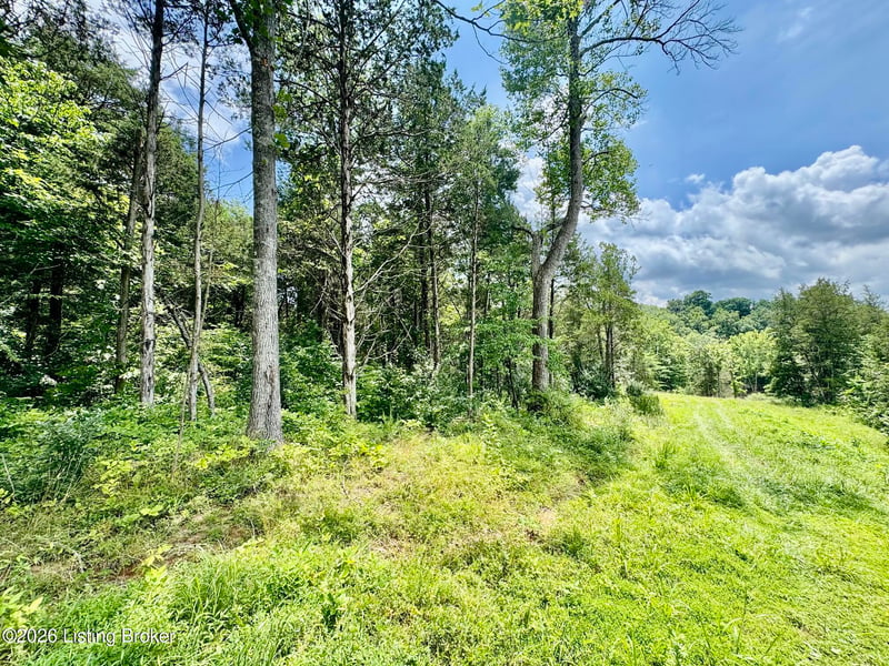 9501-5D Hwy 555, Willisburg, KY 40078