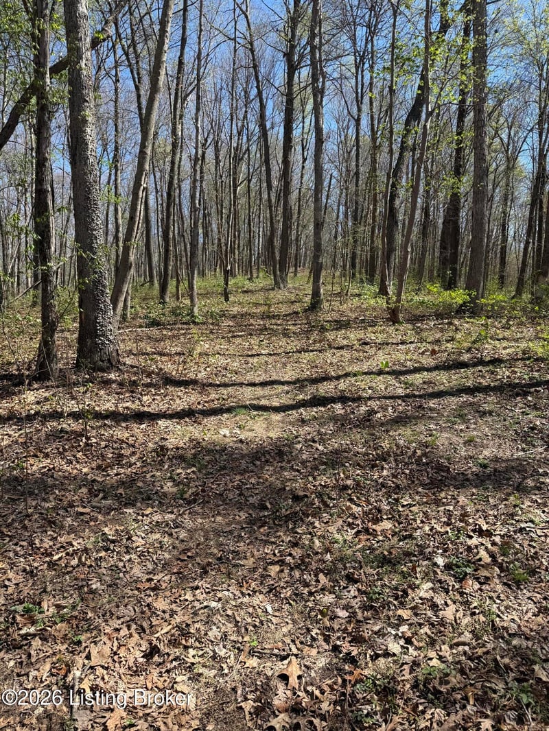 9508 Ky 86, Irvington, KY 40146