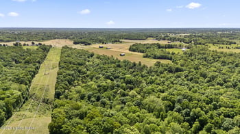 96 Mckinney Ln, Bedford, KY 40006